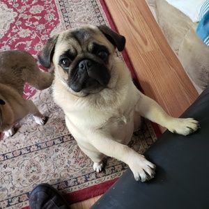 Meet your Posher, Cheryl